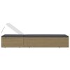 Sunlounger Poly Rattan Brown and Dark Gray